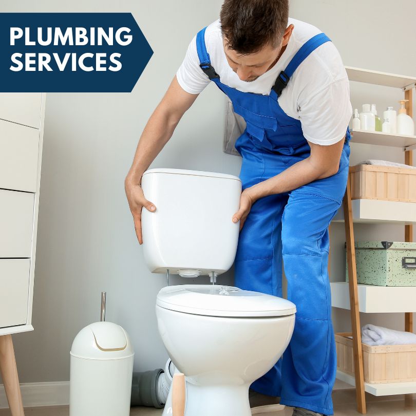 Plumbing Company in Albion, MI